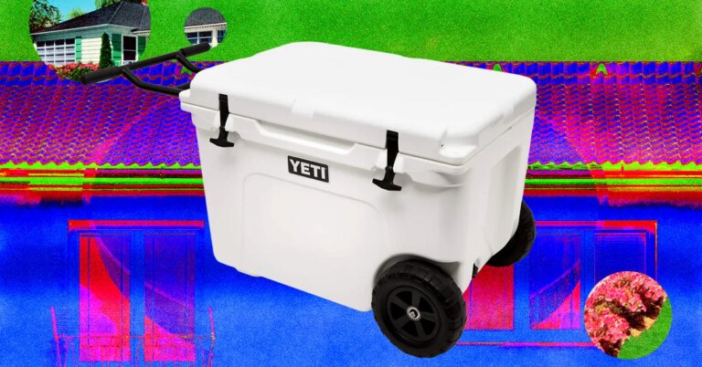 13 Best Coolers for Sunshine and Nighttime (2026) 13 Best Coolers for Sunshine and Nighttime (2026)