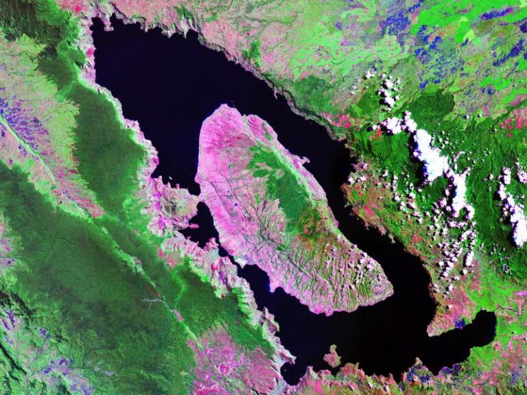 Mount Toba eruption doesn’t seem like it could nearly kill our species False colored image of a oval-shaped lake with a large island in it.
