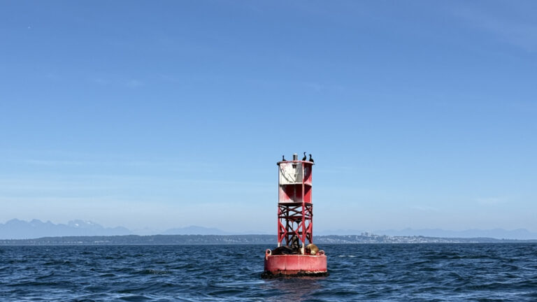 Why Do Some Marine Buoys Have Bells On Them?
